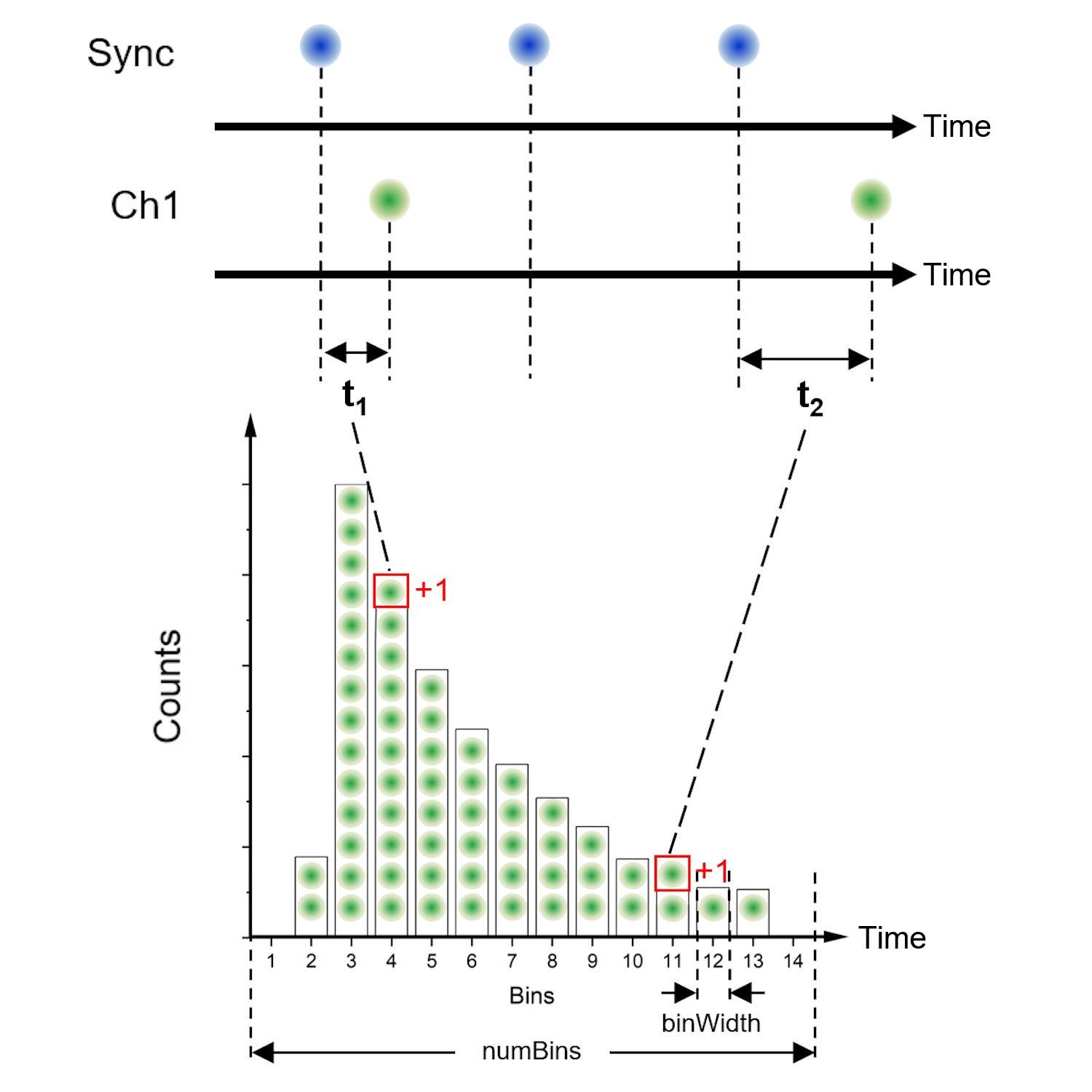 _images/01_Histogram.png